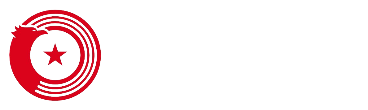 ml-t.com – technische lösungen